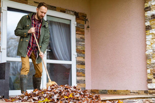 Best Basement Cleanout Services  in Mullens, WV